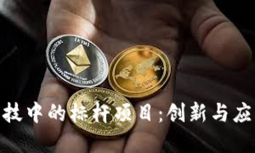 探索区块链科技中的标杆项目：创新与应用的完美结合
