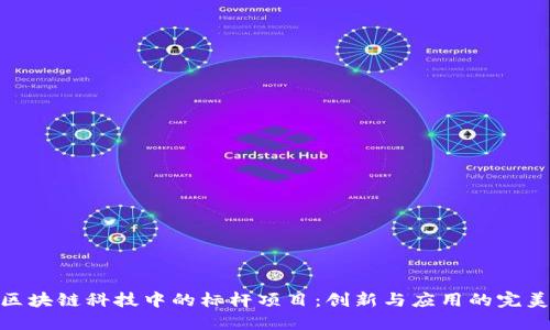 探索区块链科技中的标杆项目：创新与应用的完美结合