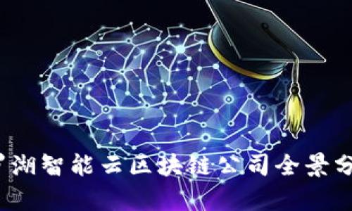 2023年罗湖智能云区块链公司全景分析与推荐