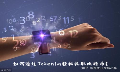如何通过Tokenim轻松收取比特币？