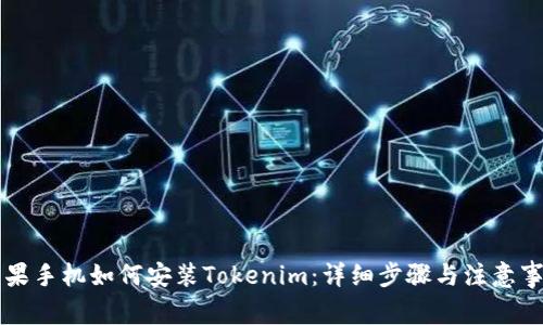 苹果手机如何安装Tokenim：详细步骤与注意事项