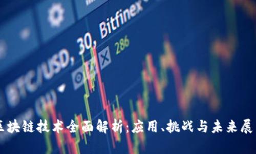 区块链技术全面解析：应用、挑战与未来展望