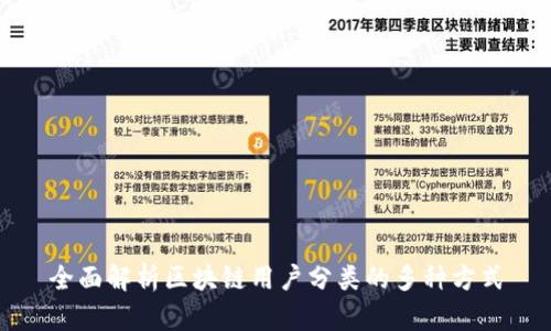 全面解析区块链用户分类的多种方式