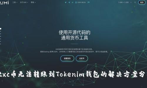 ctxc币无法转账到Tokenim钱包的解决方案分析