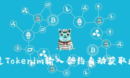 如何通过Tokenim输入合约自动获取数字货币