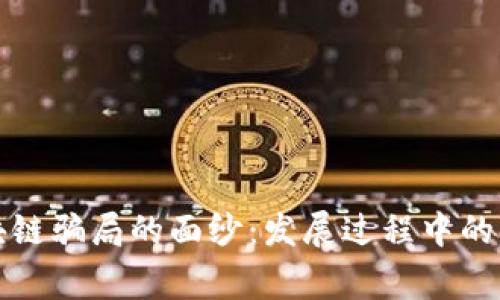 揭开区块链骗局的面纱：发展过程中的常见陷阱