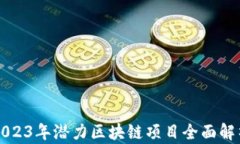 2023年潜力区块链项目全面