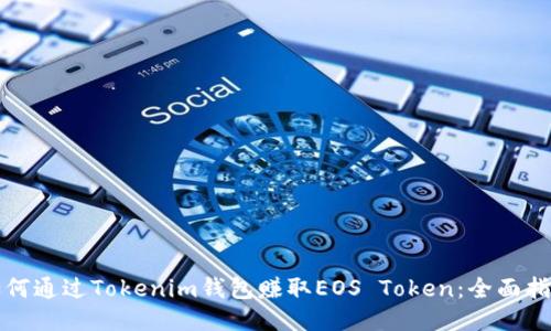 如何通过Tokenim钱包赚取EOS Token：全面指南