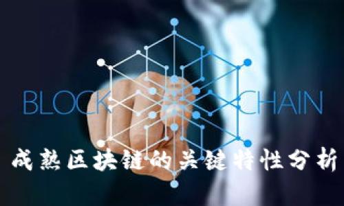 成熟区块链的关键特性分析