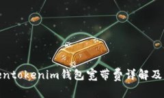 Tokentokenim钱包宽带费详解