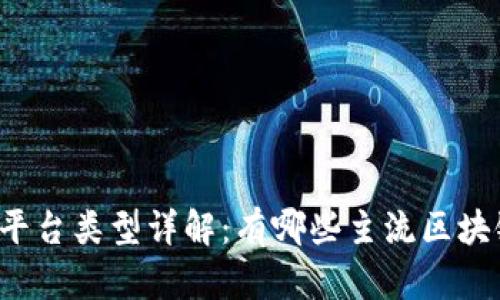 区块链平台类型详解：有哪些主流区块链平台？