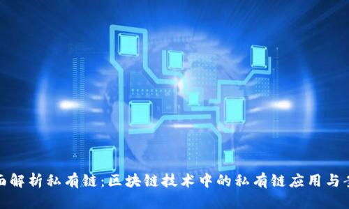 全面解析私有链：区块链技术中的私有链应用与案例
