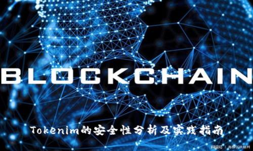 Tokenim的安全性分析及实践指南