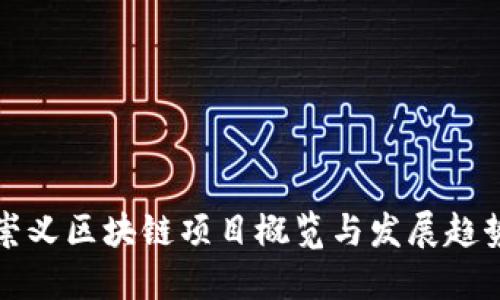 崇义区块链项目概览与发展趋势