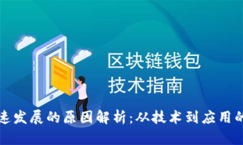 区块链快速发展的原因解析：从技术到应用的全面概述