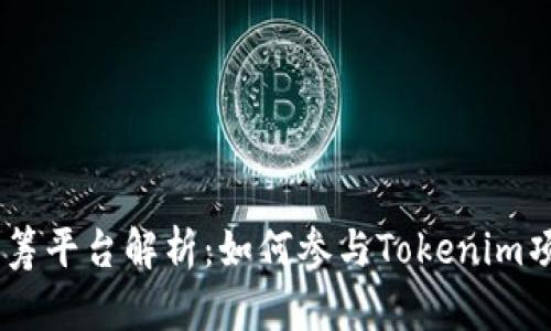 Tokenim众筹平台解析：如何参与Tokenim项目的众筹？