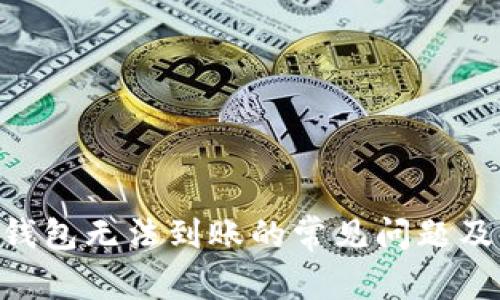 Tokenim钱包无法到账的常见问题及解决方案