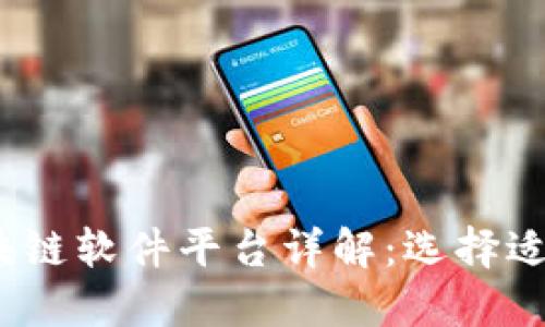 2023年高速区块链软件平台详解：选择适合您的最佳方案