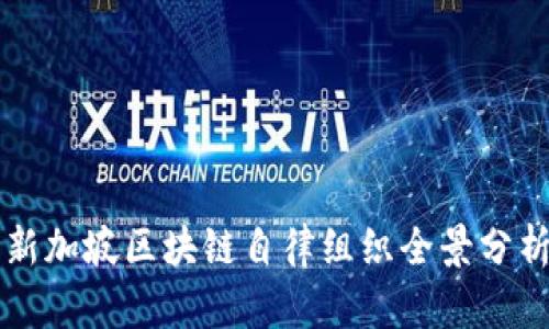 新加坡区块链自律组织全景分析