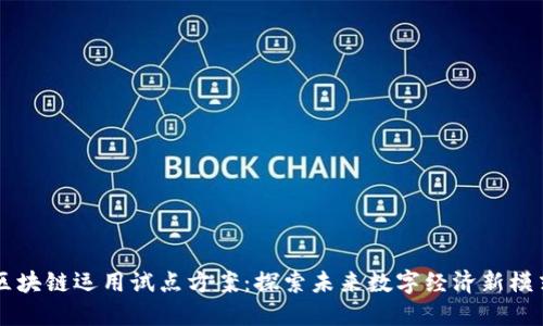 区块链运用试点方案：探索未来数字经济新模式