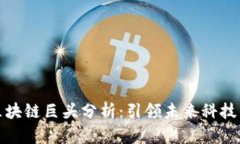 全球区块链巨头分析：引