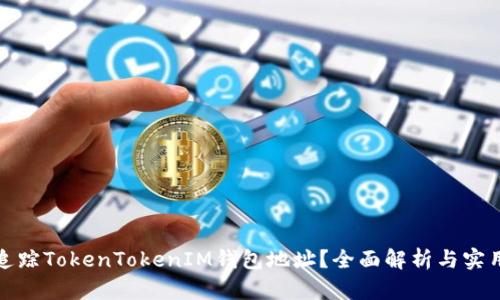 如何追踪TokenTokenIM钱包地址？全面解析与实用技巧