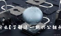 Tokenim是什么？了解这一新兴公链的潜力与特点