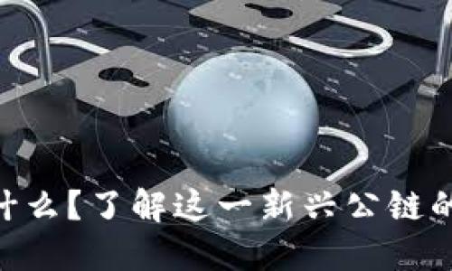 Tokenim是什么？了解这一新兴公链的潜力与特点