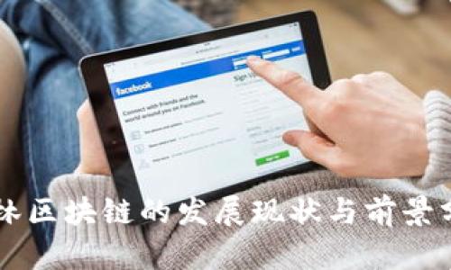 吉林区块链的发展现状与前景分析