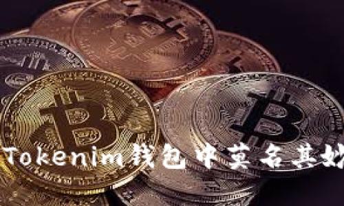 如何解决TokenTokenim钱包中莫名其妙的币进账问题？