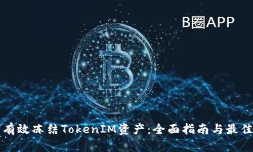 如何有效冻结TokenIM资产：全面指南与最佳实践