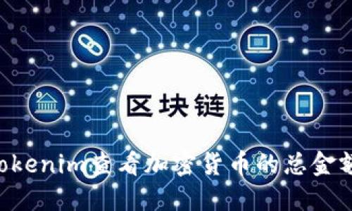 如何通过Tokenim查看加密货币的总金额：全面指南