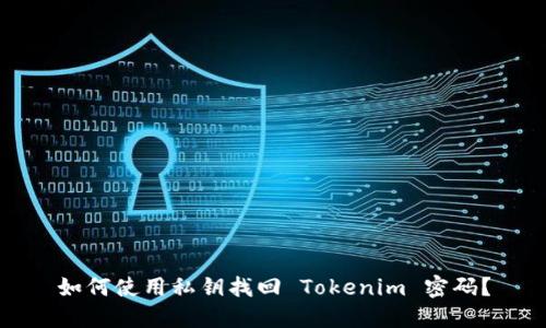 如何使用私钥找回 Tokenim 密码？