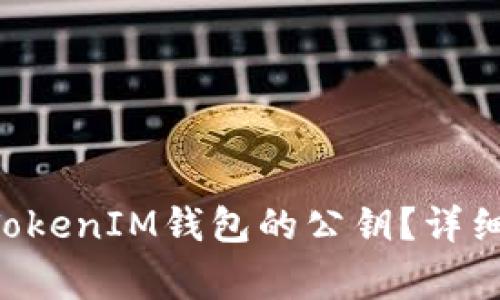 如何找回TokenTokenIM钱包的公钥？详细步骤及注意事项