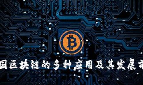 美国区块链的多种应用及其发展前景