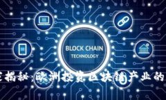 专家独家揭秘：欧洲投资