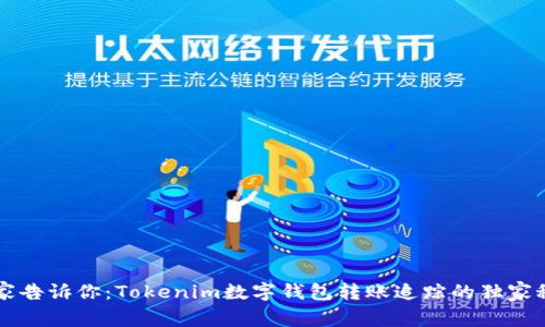 专家告诉你：Tokenim数字钱包转账追踪的独家秘诀