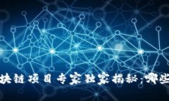 2023年最新区块链项目专家