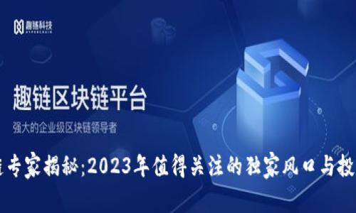 区块链专家揭秘：2023年值得关注的独家风口与投资秘诀