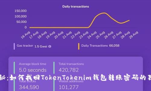 专家揭秘：如何找回TokenTokenim钱包转账密码的独家秘诀