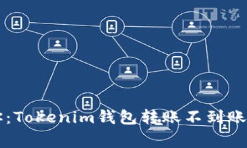 专家告诉你：Tokenim钱包转账不到账的独家秘诀