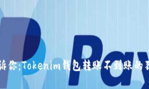 专家告诉你：Tokenim钱包转账不到账的独家秘诀