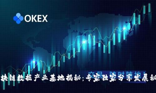 区块链数据产业基地揭秘：专家独家分享发展秘诀