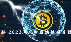 专家揭秘：2023年风口区块