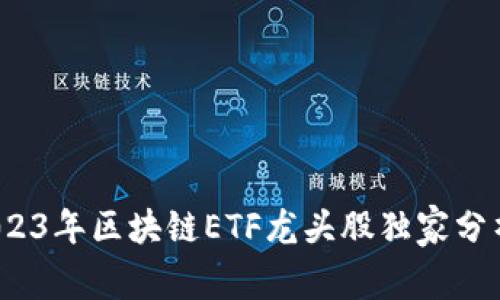 专家揭秘：2023年区块链ETF龙头股独家分析与投资秘诀