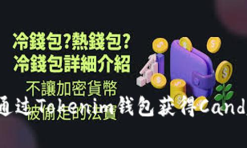 专家教你如何通过Tokenim钱包获得Candy币的独家秘诀