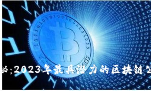 专家独家揭秘：2023年最具潜力的区块链公链项目秘诀