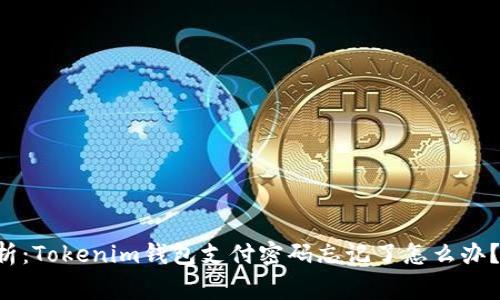专家独家解析：Tokenim钱包支付密码忘记了怎么办？秘诀大公开！