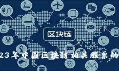 专家揭秘：2023年中国区块