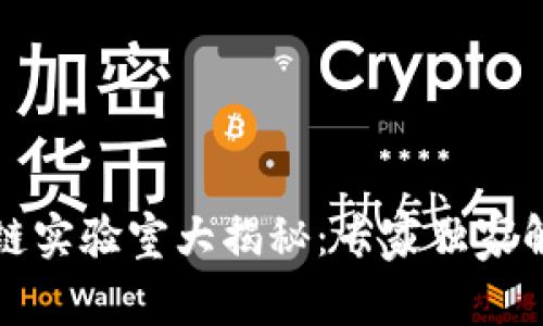 全球区块链实验室大揭秘：专家独家解析与秘诀